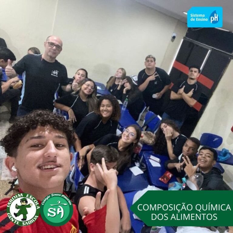 Composi O Qu Mica Dos Alimentos Centro Educacional Souza Amorim